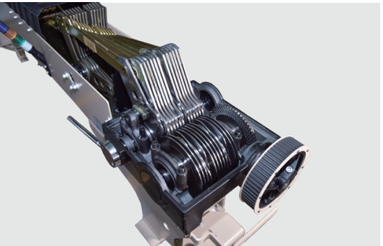 cam C21